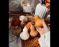 Pumpkin box
