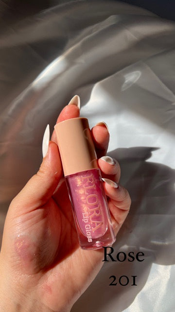 Lip Gloss Bundle buy 2 get 6