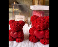 X-large Teddy Bear