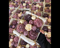 Purple Flower Box